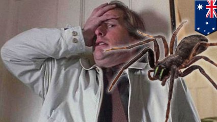 Aussie 'woman's' 2 a.m. screams lead cops to a man terrified of spiders