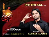 02 Hadd iyon Mein Bhayya Pyas Utar Aayi Nauha Khwan Mashhad Jalalpuri Aakhri Salam 1437 2015 16