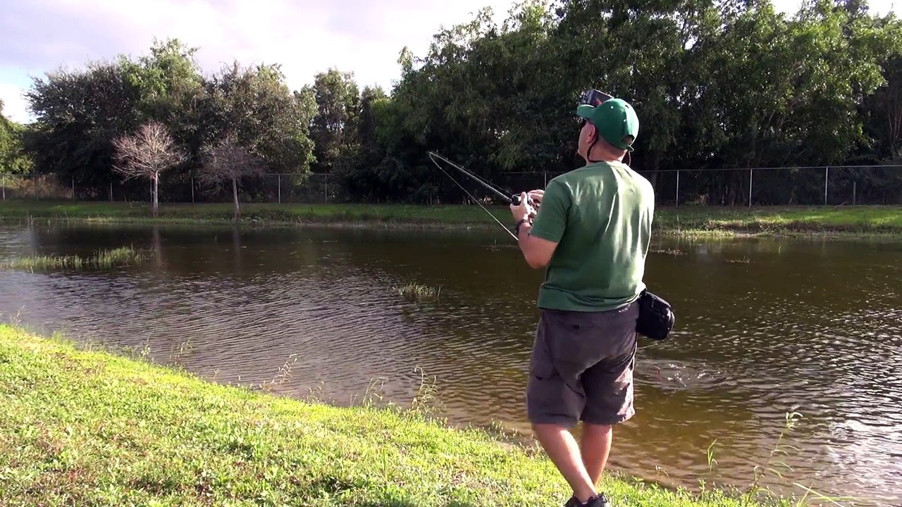 CRAZY - FISH ATTACK ON LURE RAPTOR BIRD ATTACK ON FISH ! 1080p HD