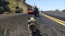 GTA Doggy HAHAH AWESOME full indian mms