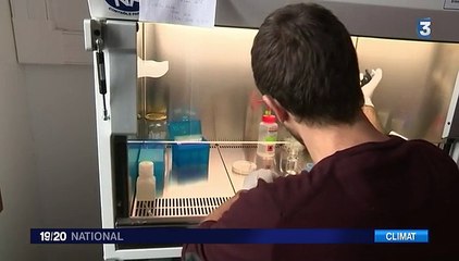 Les nuages passés au crible