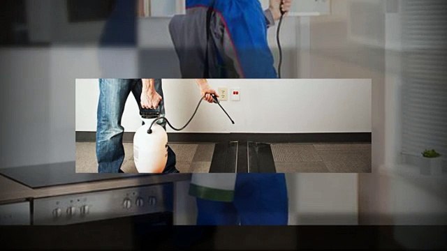 Pest Control Boise Idaho