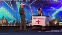 Catch Jules and Matisse the dog in action | Britains Got Talent 2015