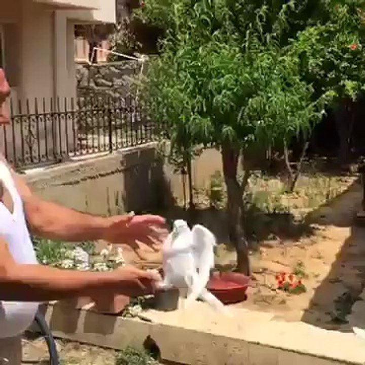 TAKLA