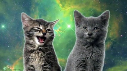 Des chatons auto-tunés qui chantent dans l'espace... WTF