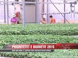 Prioritetet e buxhetit 2015, mbi 800 mnl $ jepen për infrastrukturën - News, Lajme - Vizion Plus