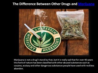 The Difference Between Other Drugs and Marijuana
