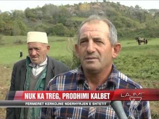 Mungesa e tregut rrezikon kulturat bujqësore - News, Lajme - Vizion Plus