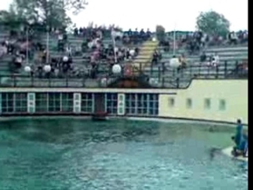 Dauphin 2