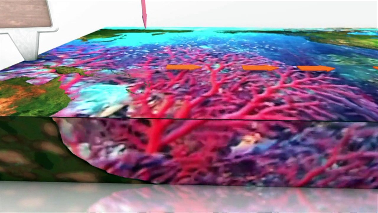 El Niño: das Klima-Phänomen (Videografik)