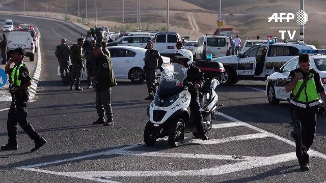 Palestinian shot dead after ramming car into Israeli soldiers