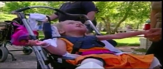 Worlds Smallest Horse