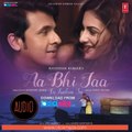 'Aa Bhi Jaa Tu Kahin Se' Full Song with LYRICS  Sonu Nigam  Amyra Dastur  T-Series