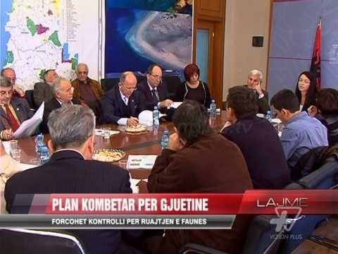 Forcohet kontrolli për ruajtjen e faunës - News, Lajme - Vizion Plus