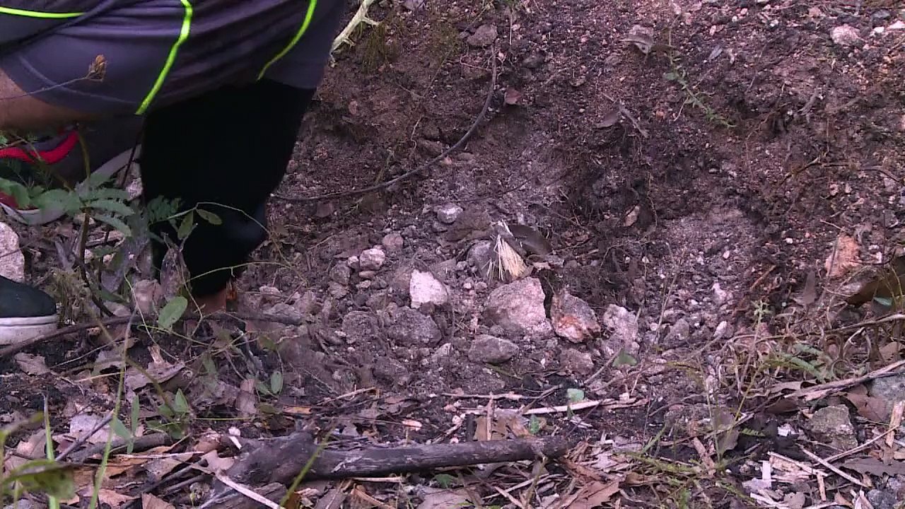 Gewaltexplosion nach goldrausch in mexiko