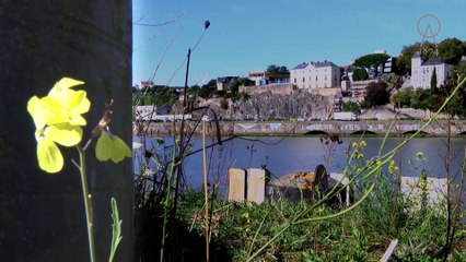 Restaurant l'Altantide 1874 Maison Jean-Yves Guého Nantes