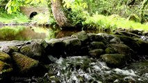 RELAXATION MEDITATION-Calming Sound of Wind and Flowing Dripping Water-3D River-Nature Sou