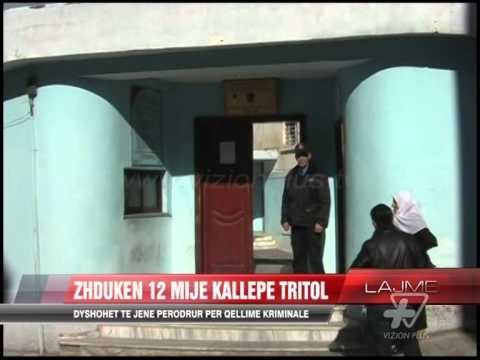 Zhduken 12 mijë kallëpe tritol - News, Lajme - Vizion Plus