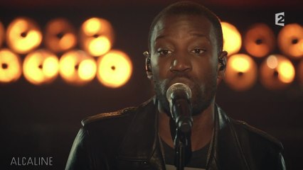 Alcaline, le Mag : Abd Al Malik - Daniel Darc en live