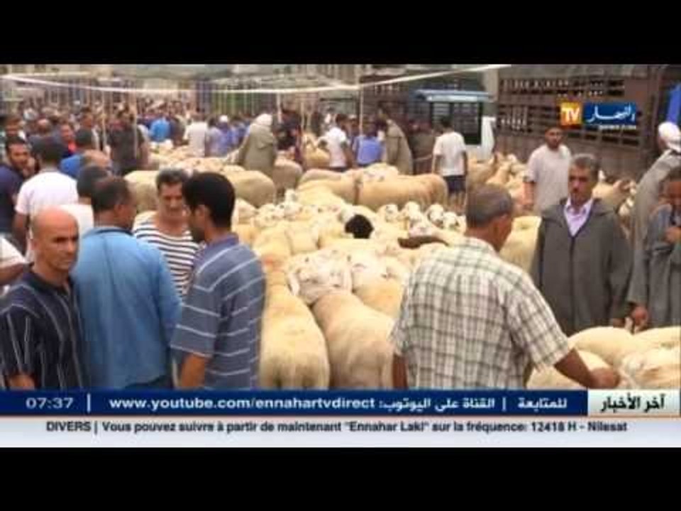 مالية : مبالغ ضخمة تعود للأسواق السوداء من بواب...