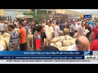 مبالغ ضخمة تعود للأسواق السوداء من بوابة أسواق الماشية