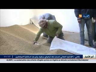 تيارت: تخصيص 30 طن من الأعلاف للموالين من أجل تخفيض سعر أضحية العيد