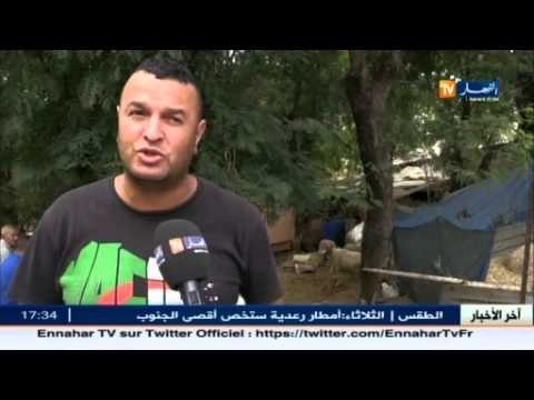 أحياء العاصمة تتحول إلى أسواق مواشي مع إقتراب عيد الأضحى