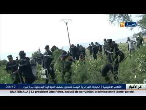العثور على جثة الغريق الذي جرفته المياه في تبسة
