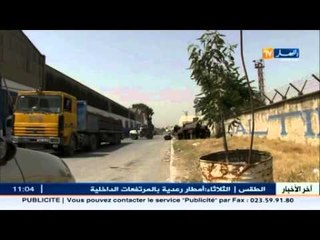 استثمار: الحكومة ترد على طلبات المستثمرين خلال 8 أيام فقط