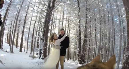 Un couple confie sa GoPro à son chien pour filmer son mariage