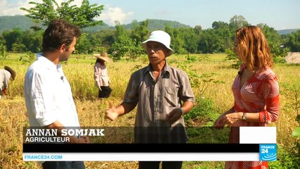 En Thaïlande, à la rencontre des précurseurs de la lutte contre le changement climatique