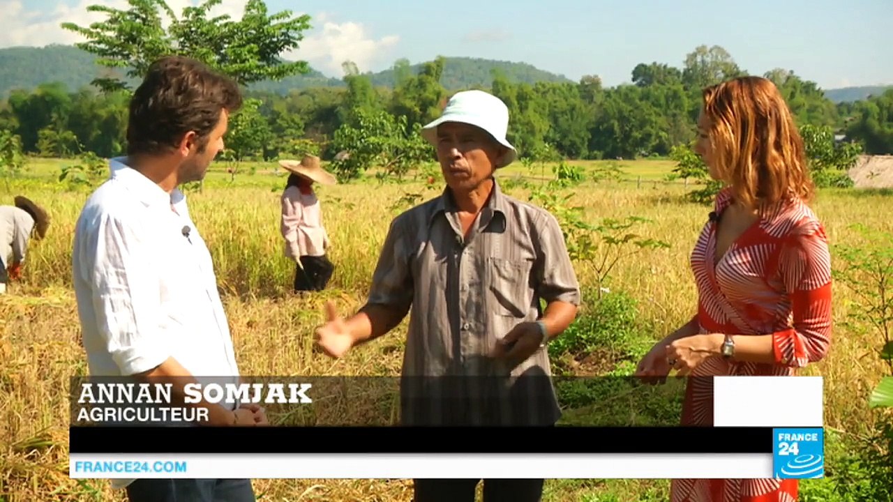 En Thaïlande, à la rencontre des précurseurs de la lutte contre le changement climatique
