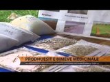 Prodhuesit e bimëve medicinale: Na mbështesni! - Top Channel Albania - News - Lajme