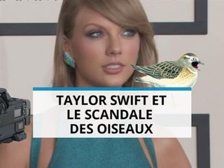 Taylor Swift,  cruelle envers les oiseaux ?