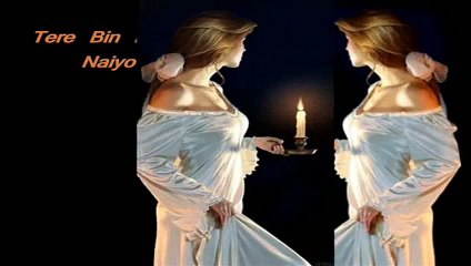 Tere Bin Ek Pal Dil Naiyo Lada