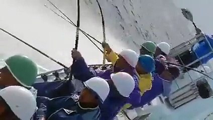 Catching the Fish: Mega Global Fishing Process