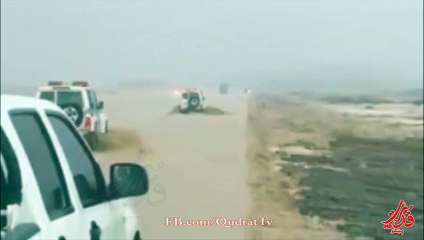 Saudi Arabs too