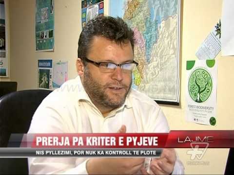 Prerja pa kriter e pyjeve - News, Lajme - Vizion Plus