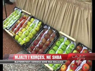 Mjalti i Korçës eksportohet në SHBA - News, Lajme - Vizion Plus