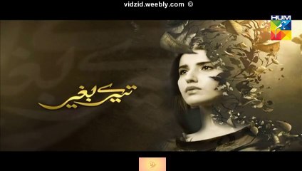 Tere Baghair Hum Tv Drama Episode 1 Full (03 December 2015)