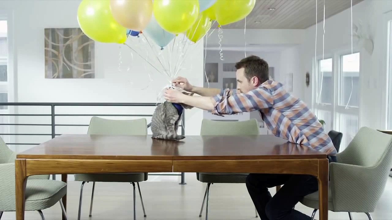 Purina Cat Chow Healthy Weight Commercial