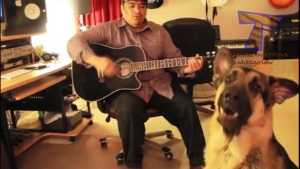 Animals making funny sounds and noises - Funny animal compilation