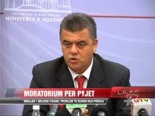 Moratorium për pyjet - News, Lajme - Vizion Plus