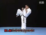 Técnicas de Karate Kyokushin con Kenji Midori