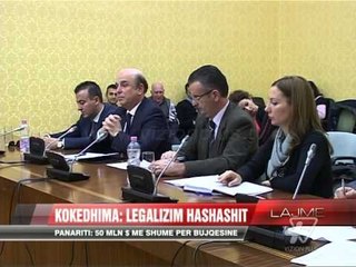Kokëdhima: Legalizim hashashit - News, Lajme - Vizion Plus