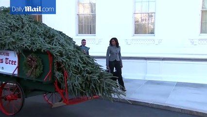 Michelle Obama receives White House Christmas tree