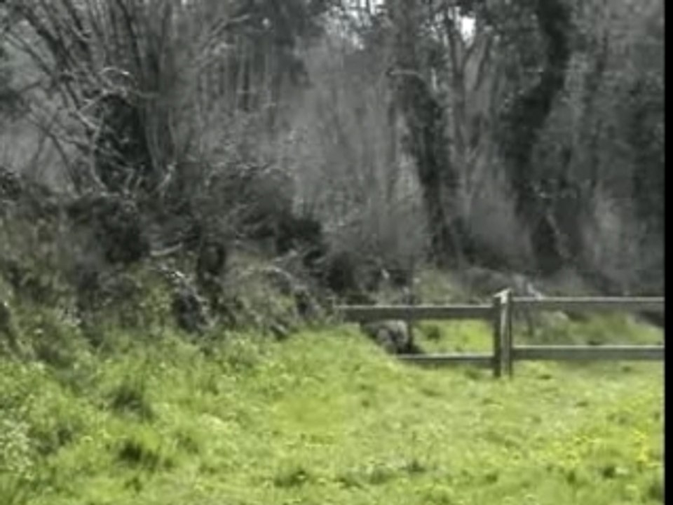 Ferme de kerlavic & qualité des eaux