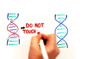 Can You Be Scared To Death?