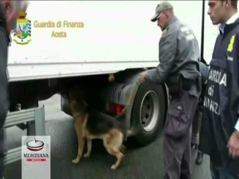 POLICIA ITALIANE SHKATERRON RRJETIN E TRAFIKIMIT TE DROGES NGA SHQIPERIA LAJM