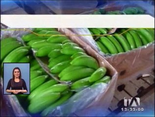Bananeros consideran positivo el acuerdo comercial con Europa